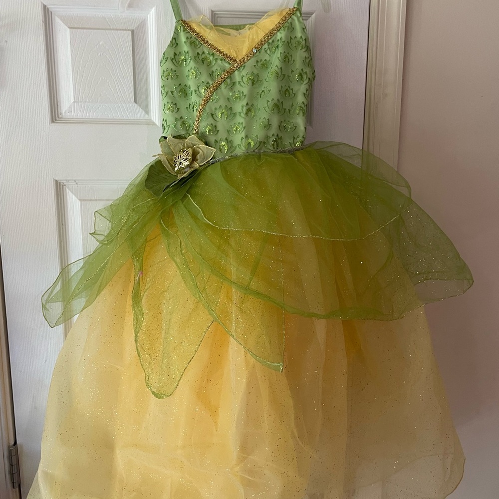 Disney World Castle Collection Princess Tiana Dress